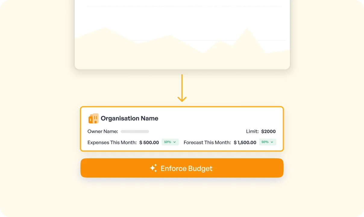 Custom Budget and Usage Guardrails